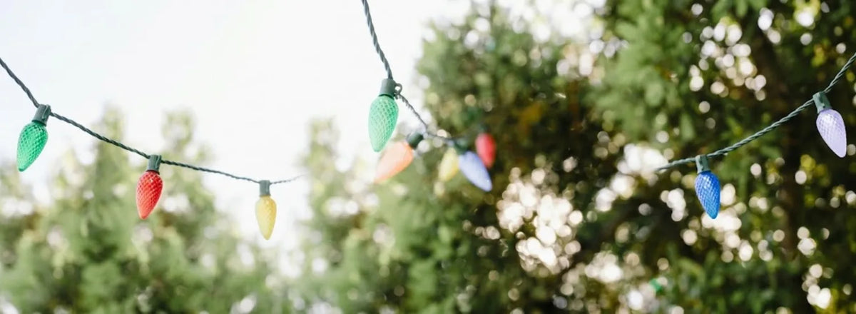 A closeup daylight view of a strand of Christmas lights in various colors, strung in the open air and connecting to a tree in the background.