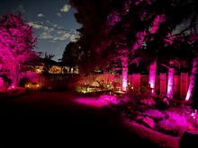 Load image into Gallery viewer, Meshtek: Landscape Lighting G4 Color Changing Bulb
