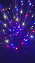 Load and play video in Gallery viewer, LED Patriotic Light Bursts
